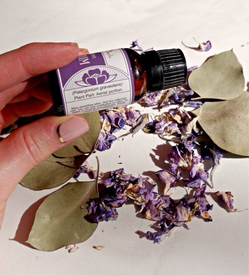 Skin Benefits of Geranium Essential Oil Jenni Raincloud