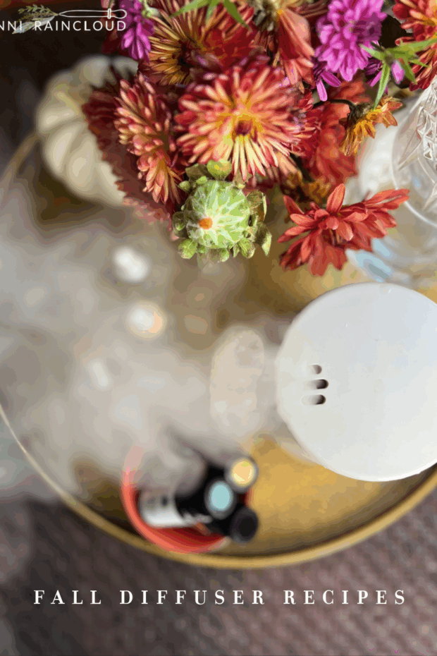 Diffuser w/mums and essential oils