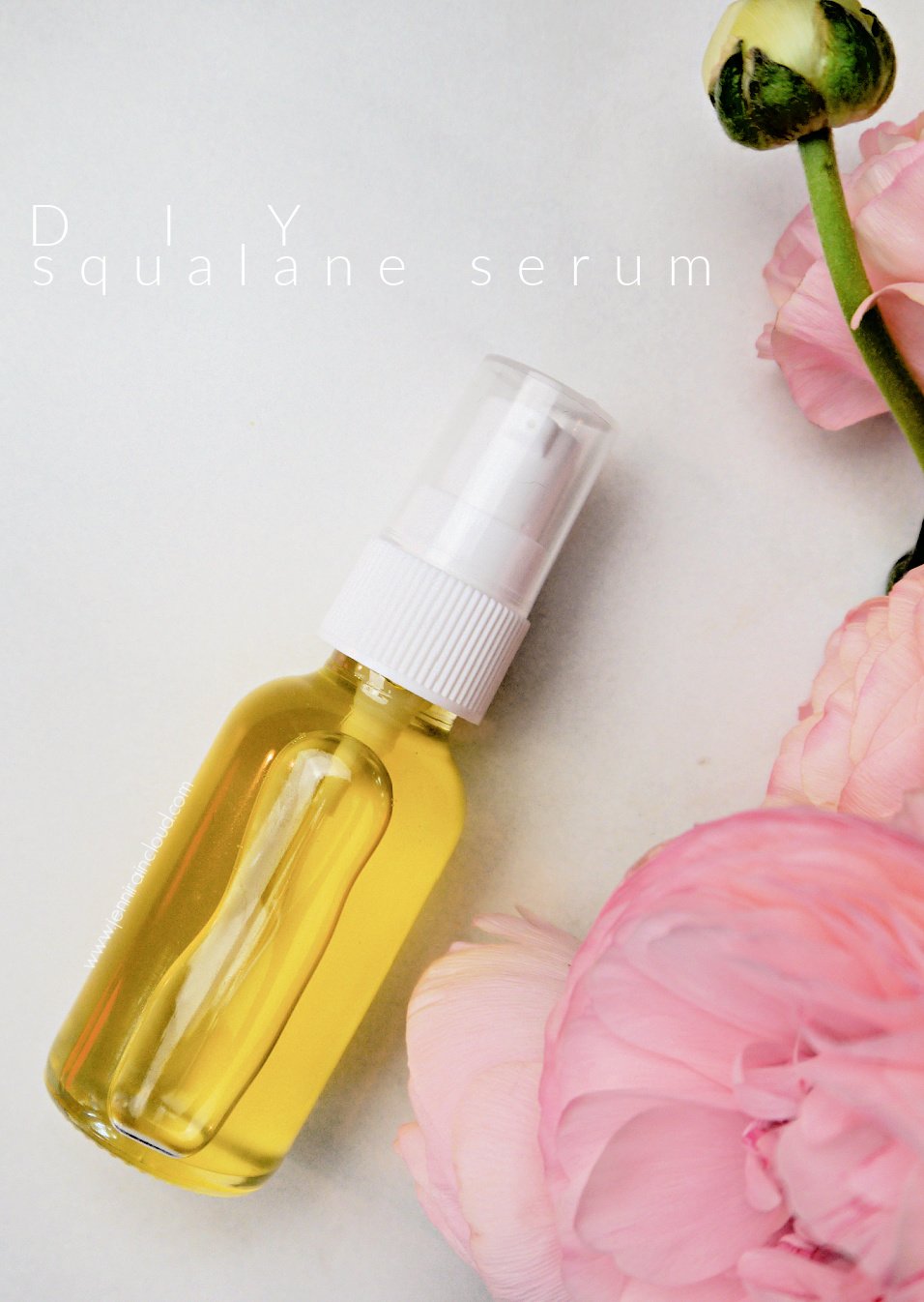 Anti Aging DIY Oil Cleanser w/ Non Clogging Oils - Jenni Raincloud