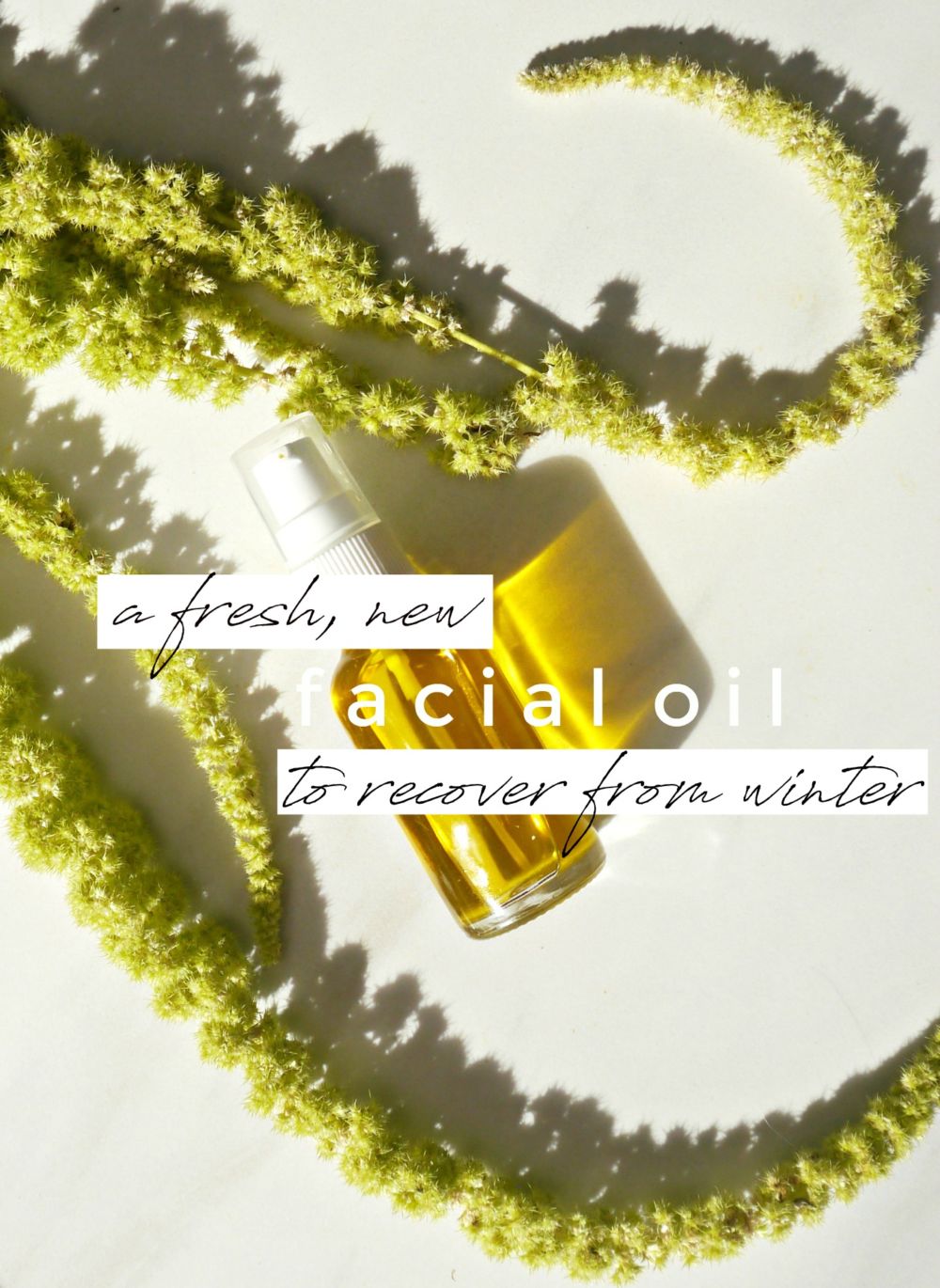 DIY Face Oil to Restore Dry, Dull Skin! - Jenni Raincloud